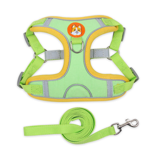 Green dog harness 