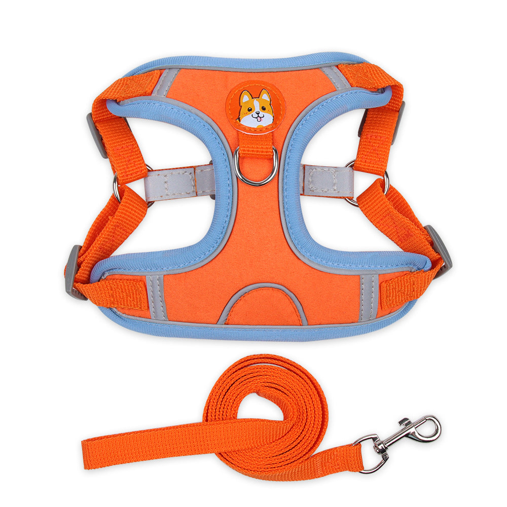 Orange dog harness and leash set 