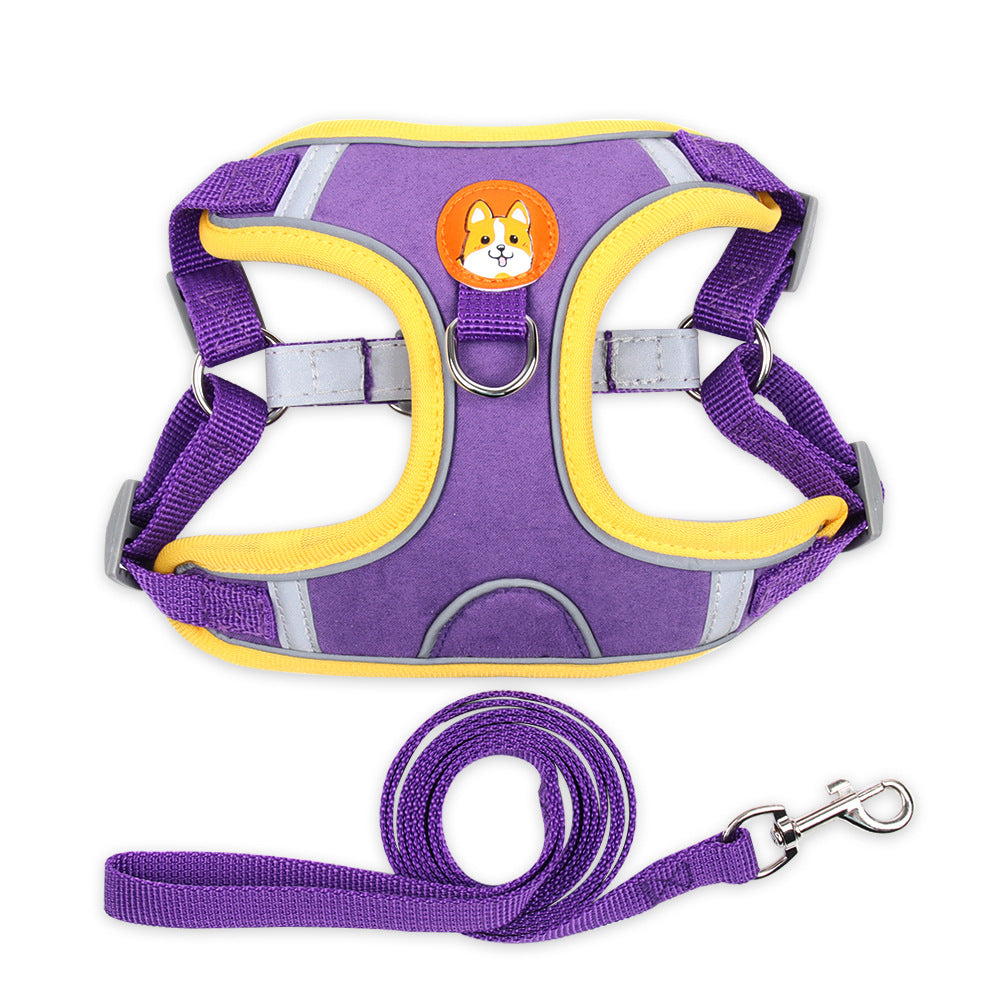 Purple dog harness 
