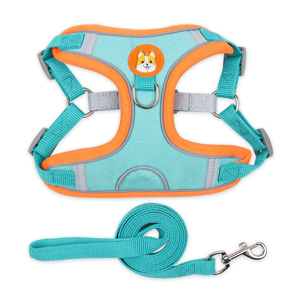 Pet harness and leash set with teal and orange design 